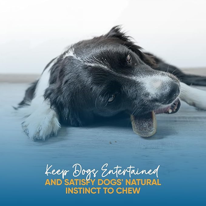 Stuffed Hooves Chews for Dogs Variety Pack (10 Count)