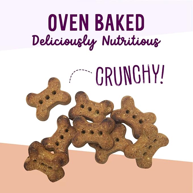 Health Extension Oven-Baked Dog Treats, 2.25lb (1.02kg), Peanut Butter & Banana Recipe – Gluten & Grain-Free, Superfood-Infused, Crunchy Biscuits for Puppy Training