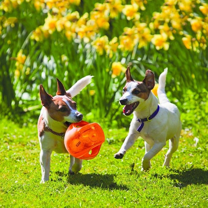 KONG Jumbler Ball - Interactive Dog Toy for Dog & Puppy Playtime - Fetch Toy with Tennis Ball - Dog Supplies for Engaging Play - for Large/XL Dogs - Assorted Colors