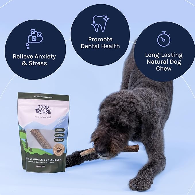 Good Trouble Pets Premium Elk Antlers for Large Dogs - All-Natural, Shed Antler Chews for Dental Health & Calming - Durable Dog Bones for Aggressive Chewers - Cruelty-Free, North American Sourced