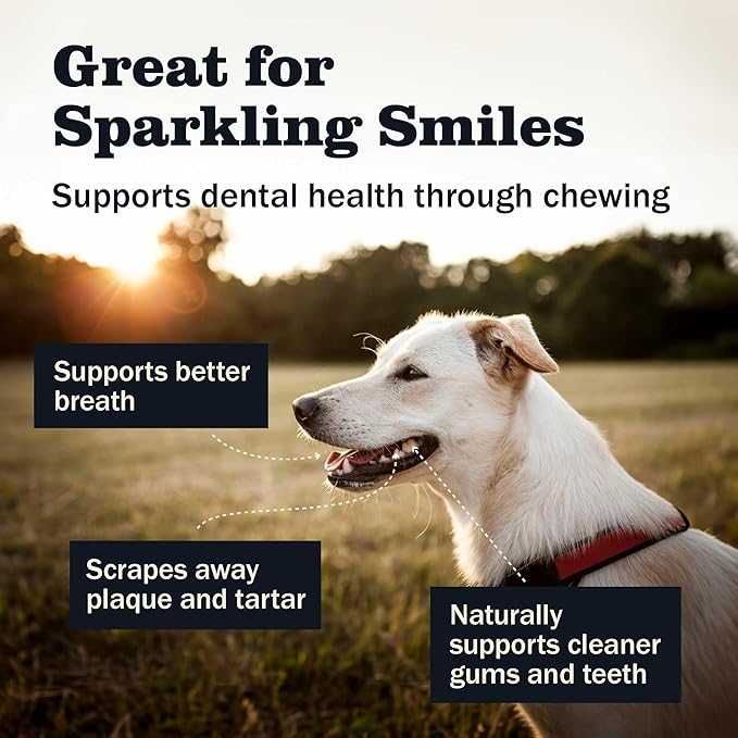 Redbarn Pet Products All Natural 8-12" Bully Sticks for Medium & Large Dogs - Healthy Long Lasting Chews Variety Party Pack - 100% Beef Single Ingredient Low Odor Rawhide Free - 1 lb. Bag