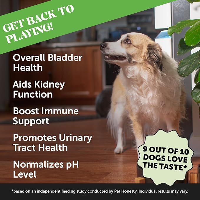 Pet Honesty Cranberry Bladder Health for Dogs – Contains Active Ingredients - Cranberry & D-Mannose to Help Support Dog Urinary Tract Health, Dog Bladder Support, & Kidney Support for Dogs (Bacon)