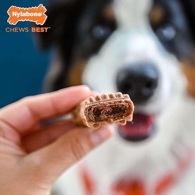 Nylabone Healthy Edibles Natural Dog Chews Long Lasting Meaty Center Beef Flavor Treats for Dogs, Medium (2 Count)