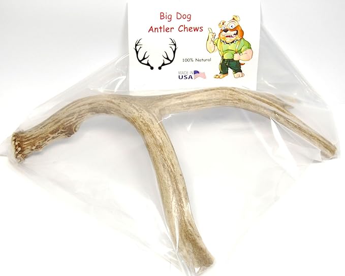 Extra Large Whole Deer Antler Dog Chew - for Large Dogs and Puppies