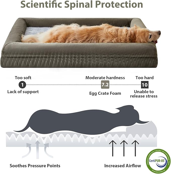 WNPETHOME Washable Dog Beds Large Sized Dog, XXXL Dog Bed, Orthopedic Dog Sofa Bed with Removable & Waterproof Cover, Extra Large Dog Bed with Bolster Sides for Sleeping, Giant Dog Bed with Sides
