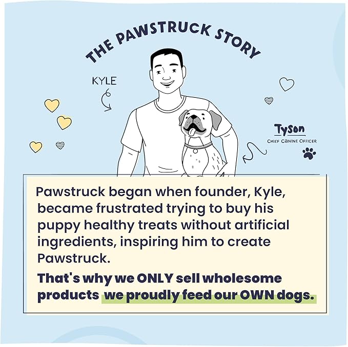 Pawstruck Large 5-6" Filled Dog Bones, Peanut Butter Flavor - Made in USA Long Lasting Stuffed Femur for Aggressive Chewers Dental Treat - Pack of 3 - Packaging May Vary