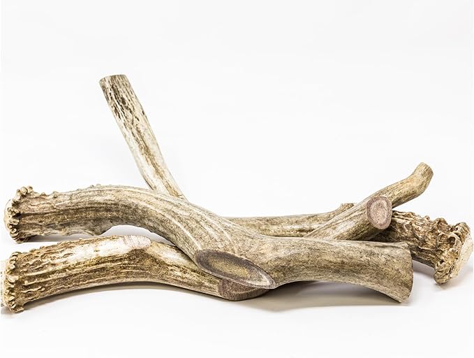hotspot pets Premium Whole Deer Antlers for Dogs - 10+ Inch Monster Deer Antler Dog Chews - Naturally Shed for Large Breed Aggressive Chewers - Sourced in USA (2 Antlers, Monster Size)
