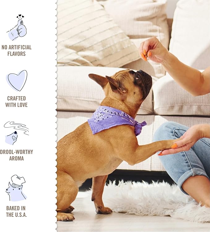 Three Dog Bakery Super Rewards with Superfoods Orchard Apple Pie Treats, 8oz - Soft Dog Training Treats, Dog & Puppy Treats, Dog Chews, Resealable Pouch