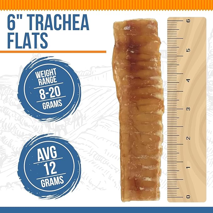 K9warehouse® - 6 Inch Beef Trachea Dog Chews - 25 Count Trachea Flats for Dogs - Packed in USA - Trachea Dog Treats - All Natural Grass-Fed Beef Dog Chews - Rich in Glucosamine Chondroitin