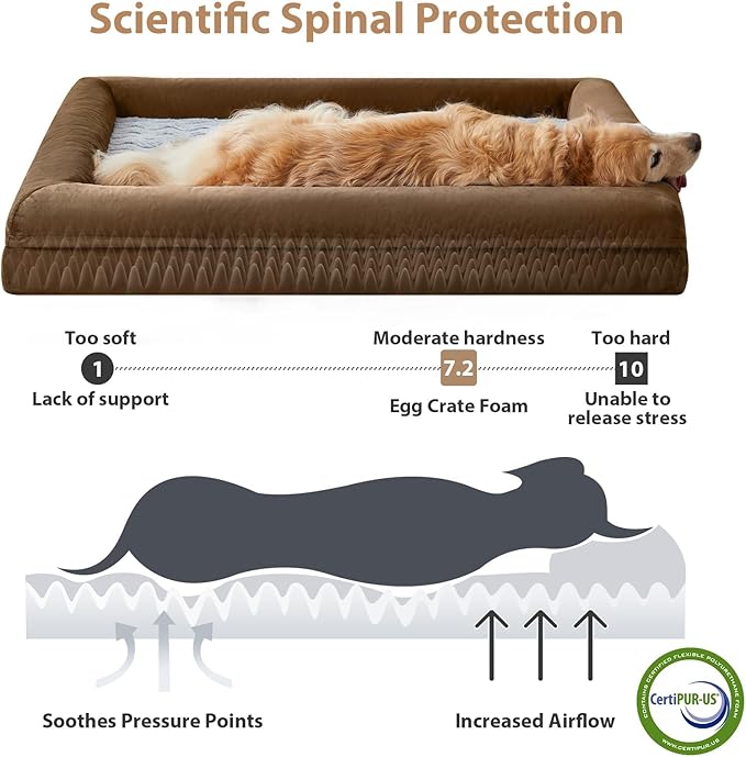 WNPETHOME Washable Dog Beds Large Sized Dog, XXXL Dog Bed, Orthopedic Dog Sofa Bed with Removable & Waterproof Cover, Extra Large Dog Bed with Bolster Sides for Sleeping, Giant Dog Bed with Sides