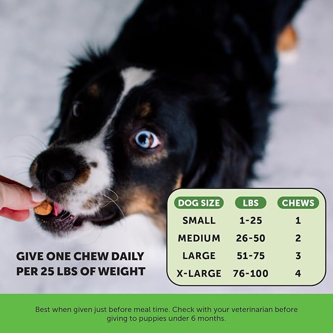 Pet Honesty Grass Green - Pee Grass Spot Saver Caused by Dog Urine, Gut Health Probiotics, Dog Urine Neutralizer for Lawn, Grass Burn Spot Chews, Cranberry, Apple Cider Vinegar, Dog Rock (Turkey 90ct)