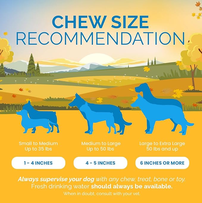 Lamb Ear Dog Chews (30 Count) - from All Natural Free Range Lambs - Quality Ears for Dogs