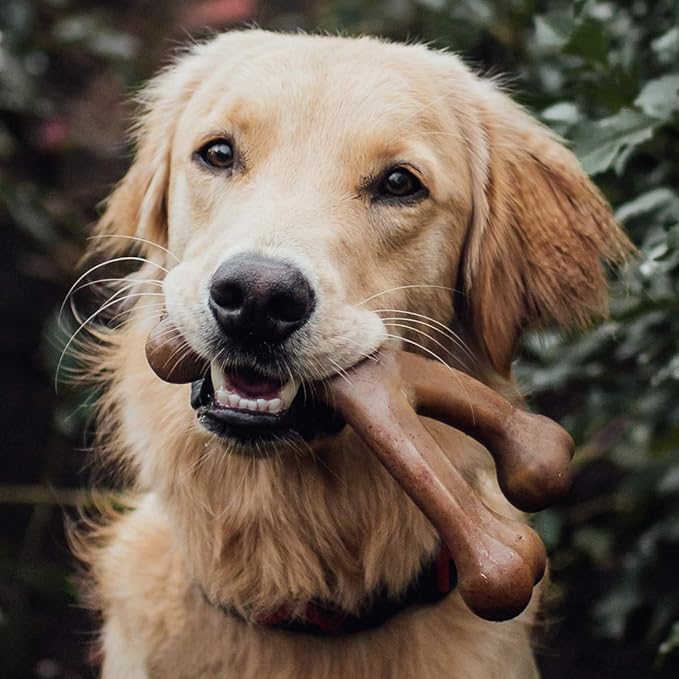 Benebone Wishbone Durable Dog Chew Toy for Aggressive Chewers, Real Peanut, Made in USA, Large