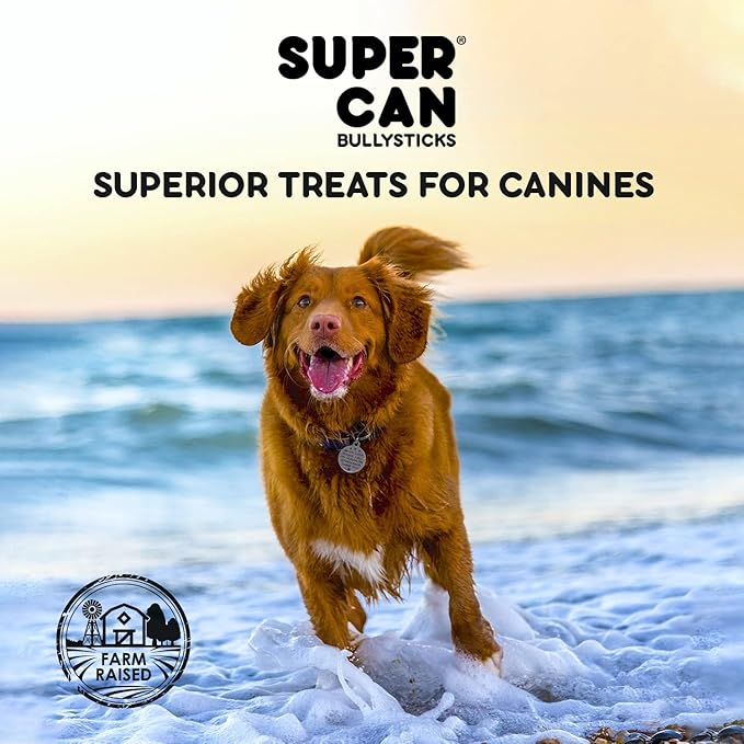 SUPER CAN BULLYSTICKS Natural Whole Pig Ears for Dogs (100 Count) - 100% Natural Pork Ear for Dogs - Easily Digestible Natural Dog Chews for Medium-Large Dogs
