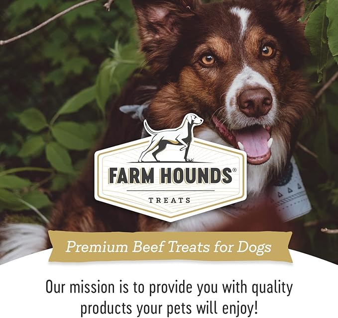 Farm Hounds - Beef Spleen - Premium Natural Beef Spleen Jerky For Dogs - Made From 100% Humanely Raised Cattle - Organ Treat - Great For Training & Treats - No Added Fillers - Made in USA -4oz -1 Pack