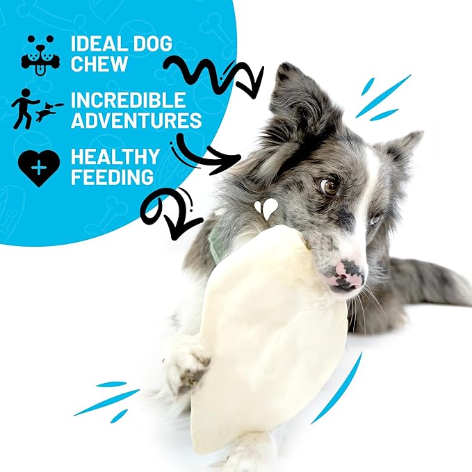 Sitka Farms Whole Cow Ears for Dogs 25 Count- No Hide Dog Chews - Whole Natural Cow Ears Dog Treat for Small, Medium and Large Dogs - Doggie Dental Care - Long Lasting Dog Treats