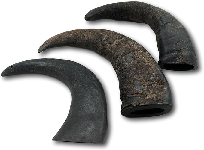 Top Dog Chews – Water Buffalo Horn, Long Lasting Dog Chew for Aggressive Chewers, All Natural, Dog Bone for Large & Medium Dogs, 3 Pack (3 Count, Water Buffalo)