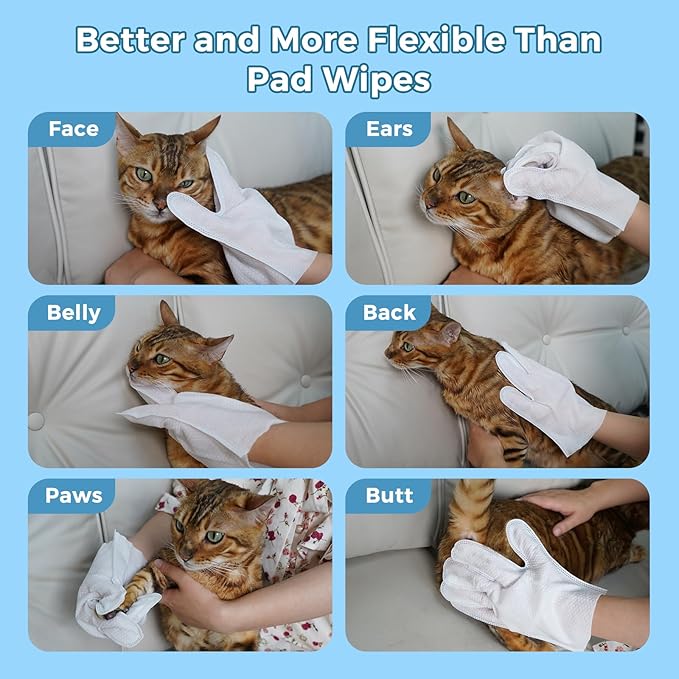 Vannon Portable Pet Bathing Wipes for Dogs & Cats, Cleaning & Odor-Controlling Extra Thick Grooming Glove Wipes for Daily Care and Traveling, Rinse Free, Nourish Fur, Individually Packaged, 5 PCS