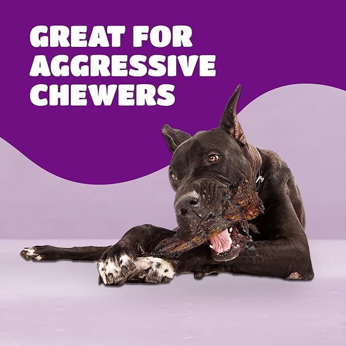Liver Coated Dog Bones for Aggressive Chewers, Natural Dog Bones for Large Dogs, Beef Shin Large Dog Bones for Medium Dogs, Bones for Dogs Long Lasting, Dog Chew Bones - 1 Count