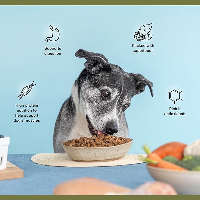 Superfood Complete, Air-Dried Adult Dog Food, High Protein, Zero Fillers, Superfood Nutrition by Katherine Heigl (Premium Lamb & Venison Formula, 11.5 oz.)