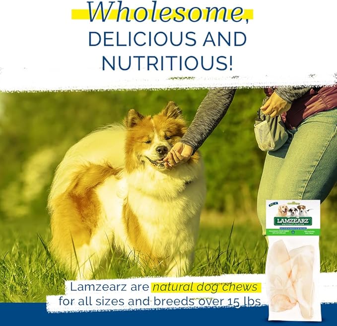 PCI Pet Center Inc Lamzearz - 24 Pack of Premium Lamb Ear Dog Treats