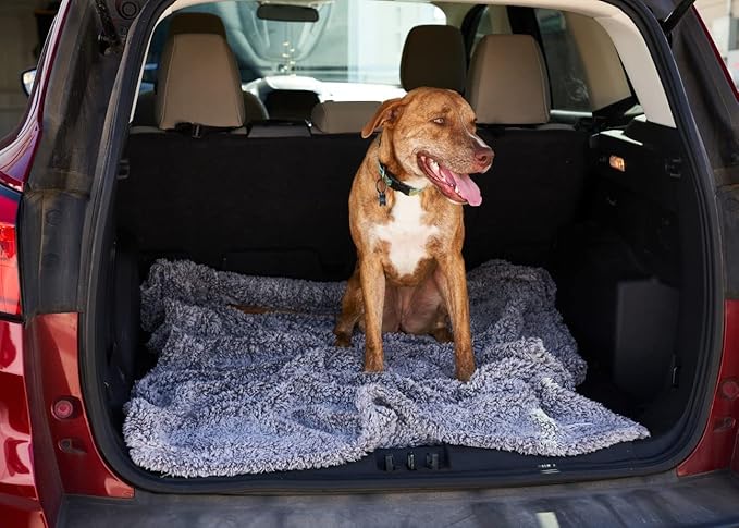 Pet Parents Pet Blanket, Water Resistant Cat Blanket, Dog Blanket, Puppy Blanket, Dog Blanket for Small Dogs, Dog Blanket for Medium Dogs, Dog Blanket for Large Dogs, Dog Blanket for Couch, 24"x32"