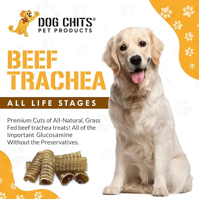 Dog Chits Beef Trachea for Dogs - Dog and Puppy Chews | Amazing for Joints | Made in USA | 6 in, 8 Pack | All-Natural Treats | Large and Small Dogs | Nothing Added