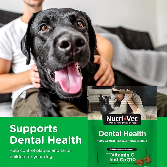 Nutri-Vet Dental Health Soft Chews for Dogs - Helps Control Plaque and Tartar Buildup - Natural Hickory Smoke Flavor - 70 Count - 6 oz