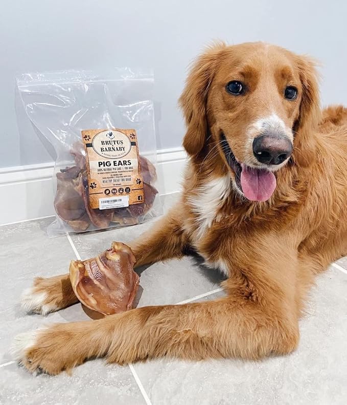100% Natural Whole Pig Ear Dog Treat - 25 Pack - Our Healthy Dog Pig Ears Are Easy To Digest, Chemical & Hormone Free Thick Cut Pig Ears For Dogs Aggressive Chewers, Great For Small Or Large Dogs