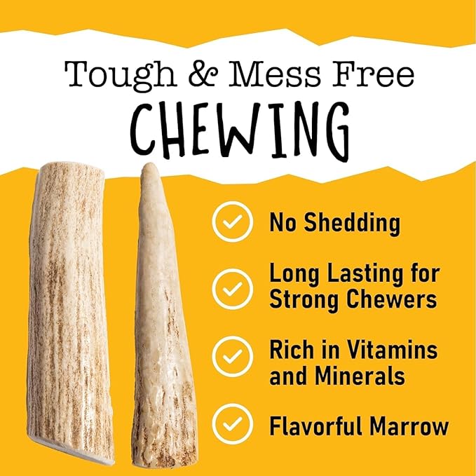 Snatchers Deer Antlers for Mild to Aggressive Chewers – Durable, Naturally Shed Antlers for Dogs Processed in The USA, No Additives (Small, 1 Count)
