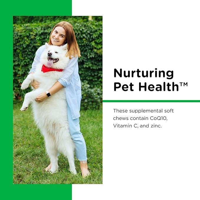 Nutri-Vet Dental Health Soft Chews for Dogs - Helps Control Plaque and Tartar Buildup - Natural Hickory Smoke Flavor - 70 Count - 6 oz