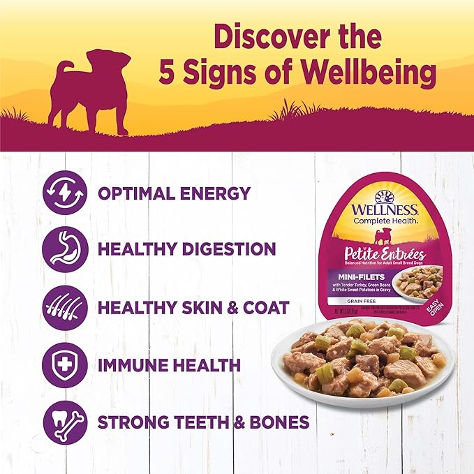 Wellness Natural Pet Food Petite Entrees Mini Fillets Natural Wet Small Breed Dog Food, Tender Turkey, Green Beans & White Sweet Potato, 3-Ounce Cup (Pack Of 24)