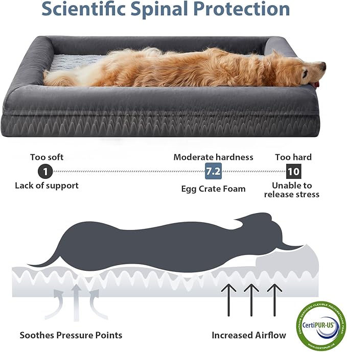 WNPETHOME Washable Dog Beds Large Sized Dog, XXXXL Dog Bed, Orthopedic Dog Sofa Bed with Removable & Waterproof Cover, Extra Large Dog Bed with Bolster Sides for Sleeping, Giant Dog Bed with Sides
