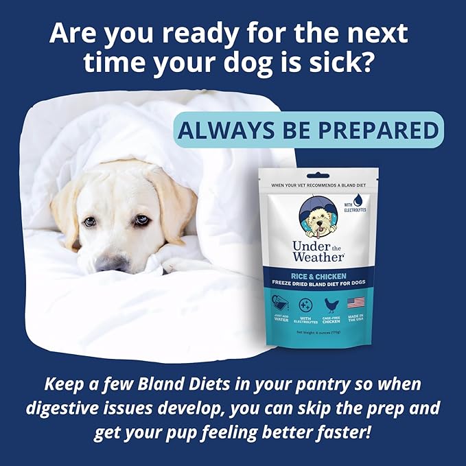 Under the Weather Bland Diet for Dogs | Easy to Digest for Sick Dogs | Always Be Ready | Contains Electrolytes - All Natural Freeze Dried 100% Human Grade Meats | 6 Pack - Chicken, Rice - 6oz