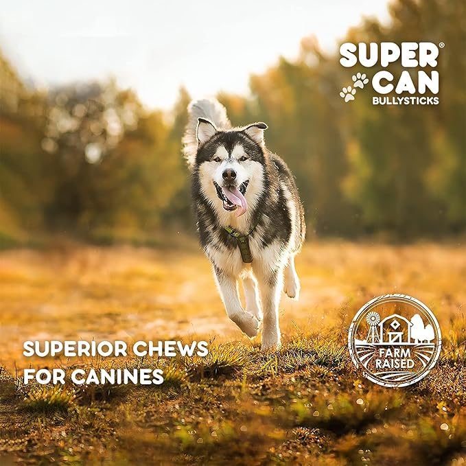 SUPER CAN BULLYSTICKS Half Pig Ears for Dogs (100 Count) - All Natural Healthy Digestible Dog Chews - Long-Lasting Pig Ears Treats for Small, Medium, & Large Dogs