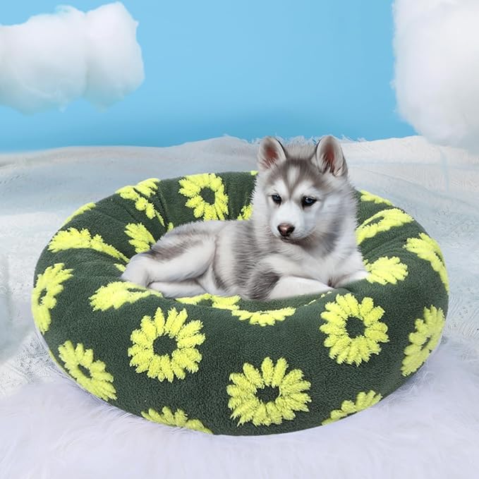 HYQ Small Dog Bed, Cat Beds for Indoor Cats, Dog Beds for Small Dogs with Anti-Slip Bottom, Cute Puppy Bed Washable-Yellow-17inch