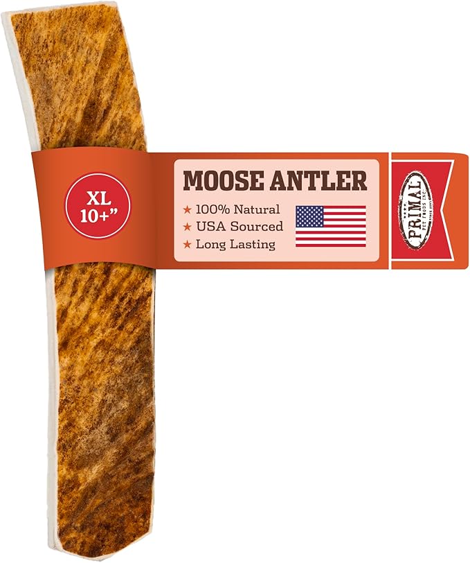 Primal Antlers for Dogs - Grade A Split Moose Antlers for Large Dogs 45-60 lb - Natural Dog Chews for Aggressive Chewers - Naturally Shed Antlers - Long Lasting Dog Bones - 1 ct