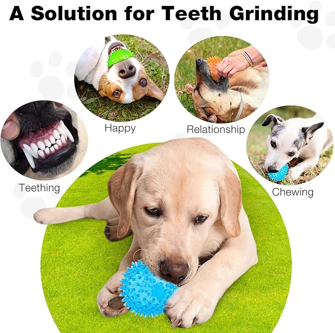 Puppy Toy 2.5” Squeaky Dog Balls Toys and Spikey Dog Ball for Aggressive Chewers for Small Dogs Dog Balls for Clean Teeth and Training (6 Pack