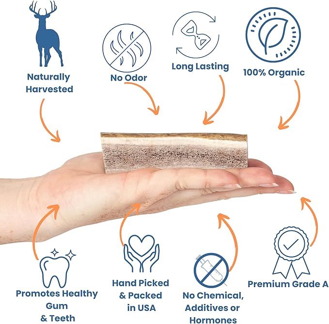 Split Antler for Dogs - Natural Dog Antlers for Aggressive Chewers - USA Sourced Elk Antlers for Dogs Small, Medium, Large - Healthy Elk Antlers for Teeth Cleaning & Chewing Pleasure