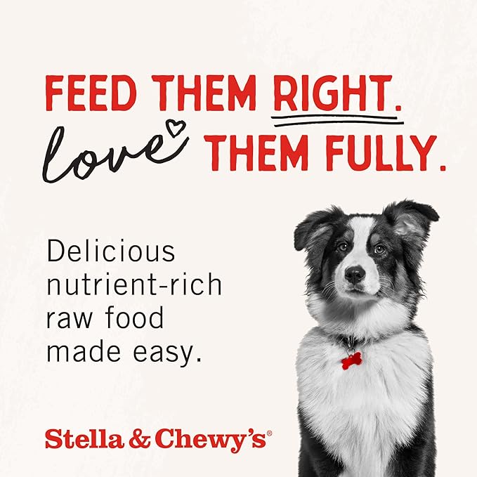 Stella & Chewy's Freeze Dried Raw Dandy Lamb Meal Mixer – Dog Food Topper for Small & Large Breeds – Grain Free, Protein Rich Recipe – 35 oz Bag