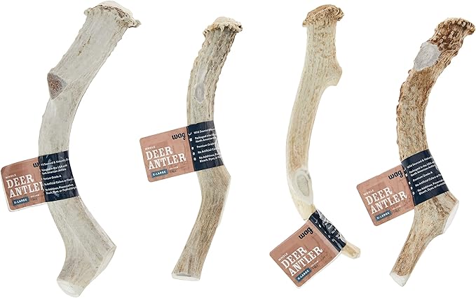 Amazon Brand – Wag Dog Deer Antler Chew, Naturally Shed, Whole, 9–10.5 inches, X-Large (Best for Dogs Over 45 lbs) (Pack of 4)