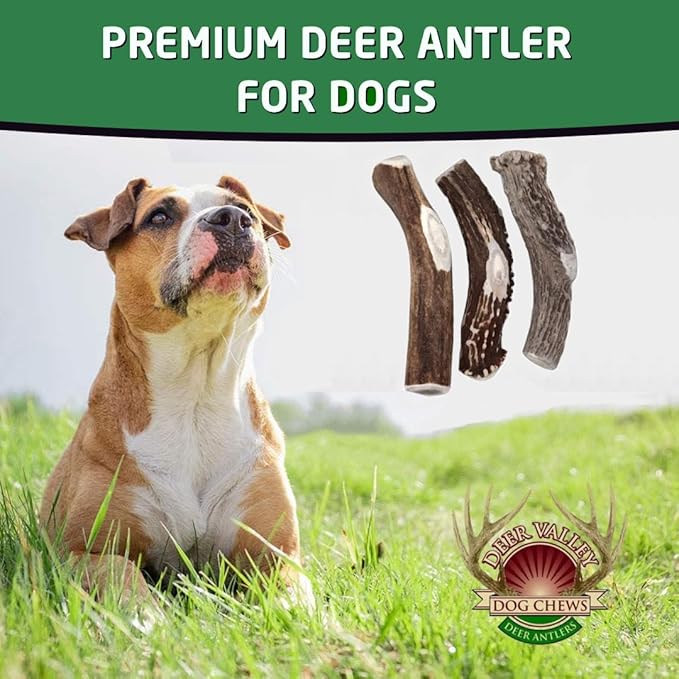 Deer Valley Dog Chews (Giant Single, 8-10 Inches) Sustainably-Sourced Deer Antler for Extra Large Dog Breeds - Durable Dog Chew Bone for Aggressive Chewers