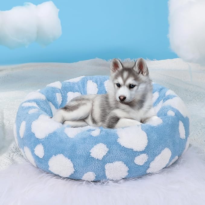 HYQ Small Dog Bed, Cat Beds for Indoor Cats, Dog Beds for Small Dogs with Anti-Slip Bottom, Cute Puppy Bed Washable-Blue-20inch