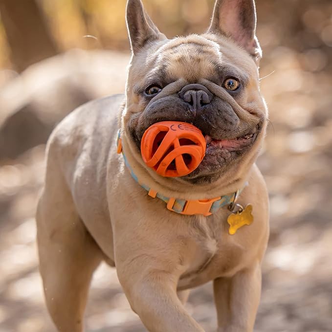 Chuckit Air Fetch Ball Dog Toy, Medium (2.5 Inch Diameter), for dogs 20-60 lbs