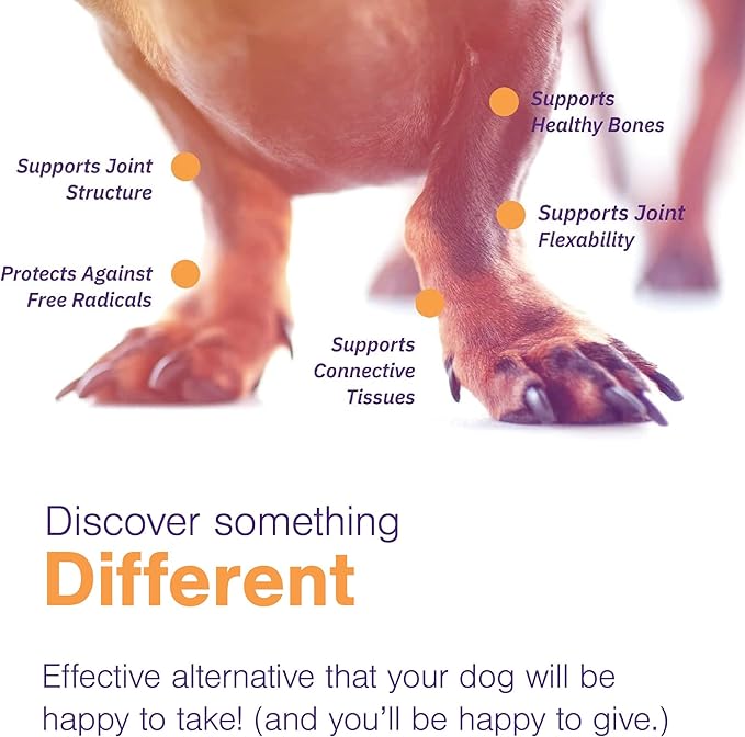 Joint Support Supplement for Small Dogs - Hip and Joint Support - Dog Joint Supplement - Hip and Joint Supplement Dogs - 60 Soft Chews (by Virbac)