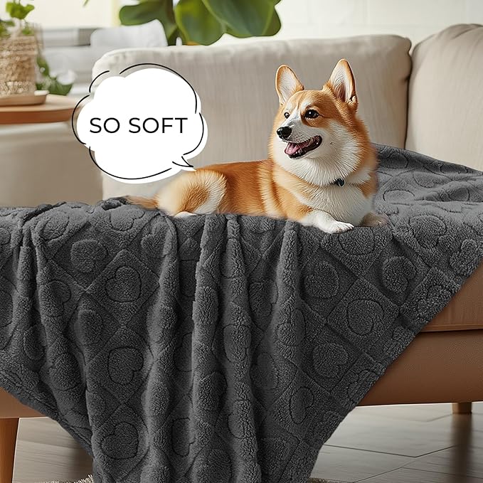 Luciphia Small Dog Blanket Washable Pet Bed Cover Soft Fluffy Puppy Blanket with Premium Fleece Cozy Calming Cat Blankets for Indoor Cats Grey 41x31 inch