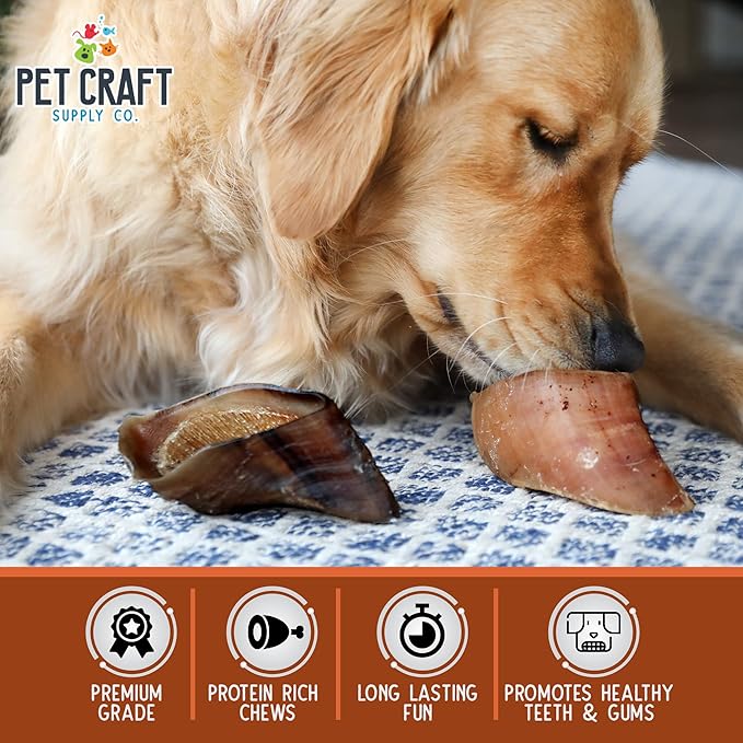 Pet Craft Supply ALL Natural Healthy Buffalo Hooves Bones Dog Chews Treats for Aggressive Chewers Long Lasting Rawhide Free Made in USA Premium Slow Roasted for Puppies Small Medium Large Dogs 10 Pack