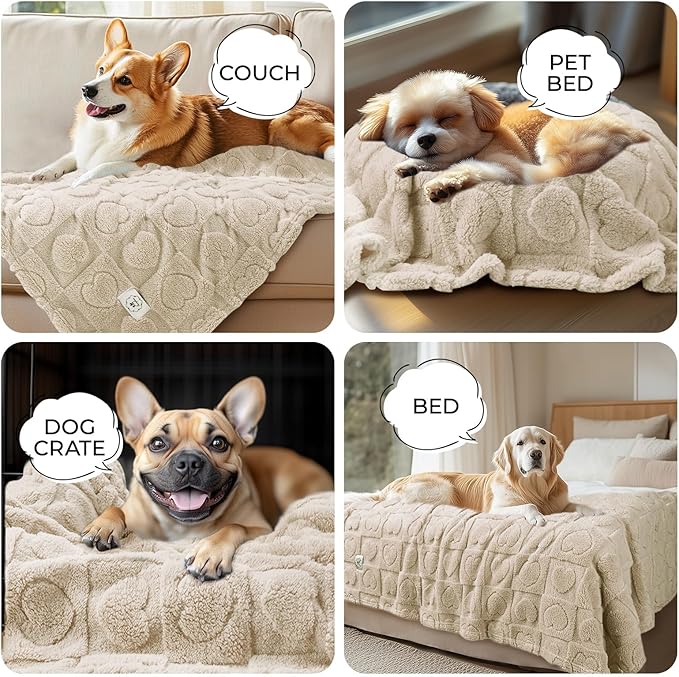 Luciphia Small Dog Blanket Washable Pet Bed Cover Soft Fluffy Puppy Blanket with Premium Fleece Cozy Calming Cat Blankets for Indoor Cats Beige 41x31 inch