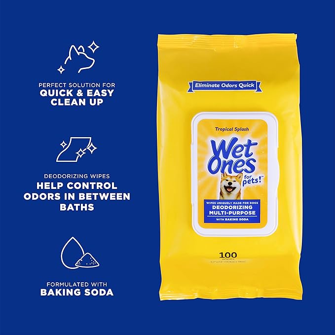 Wet Ones for Pets Desmellizing Multi-Purpose Dog Wipes with Baking Soda Dog Desmellizing Wipes for All Dogs in Tropical Splash Scent, Wet Ones Wipes for Desmellizing Dogs (Pack of 12,1200 Count Total)