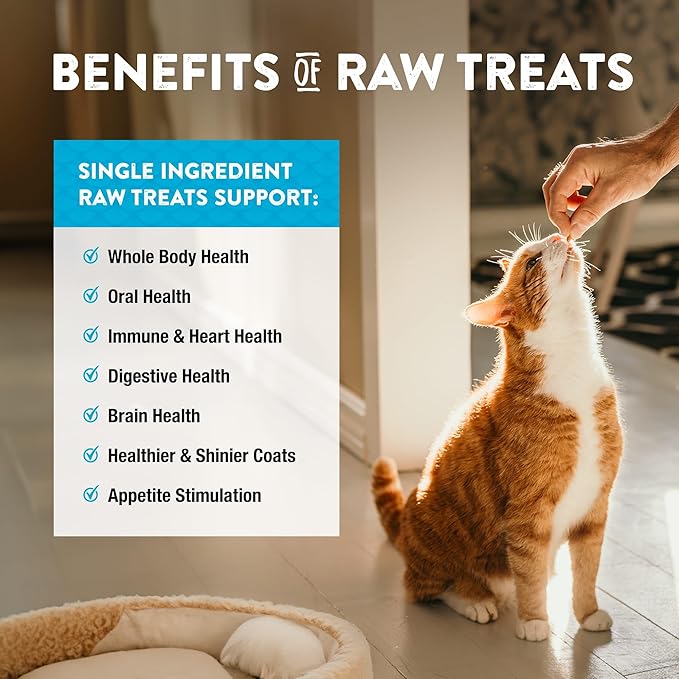 Northwest Naturals Raw Rewards Freeze-Dried Minnow Treats for Dogs and Cats - Bite-Sized Pieces - Healthy, 1 Ingredient, Human Grade Pet Food, All Natural - 1 Oz (Pack of 3)